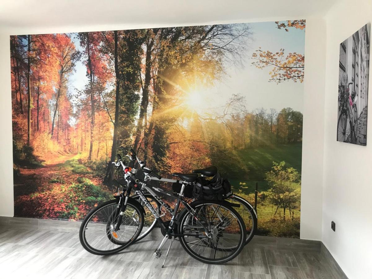 Cyklo-Moto Apartman Lomnice nad Luznici ภายนอก รูปภาพ