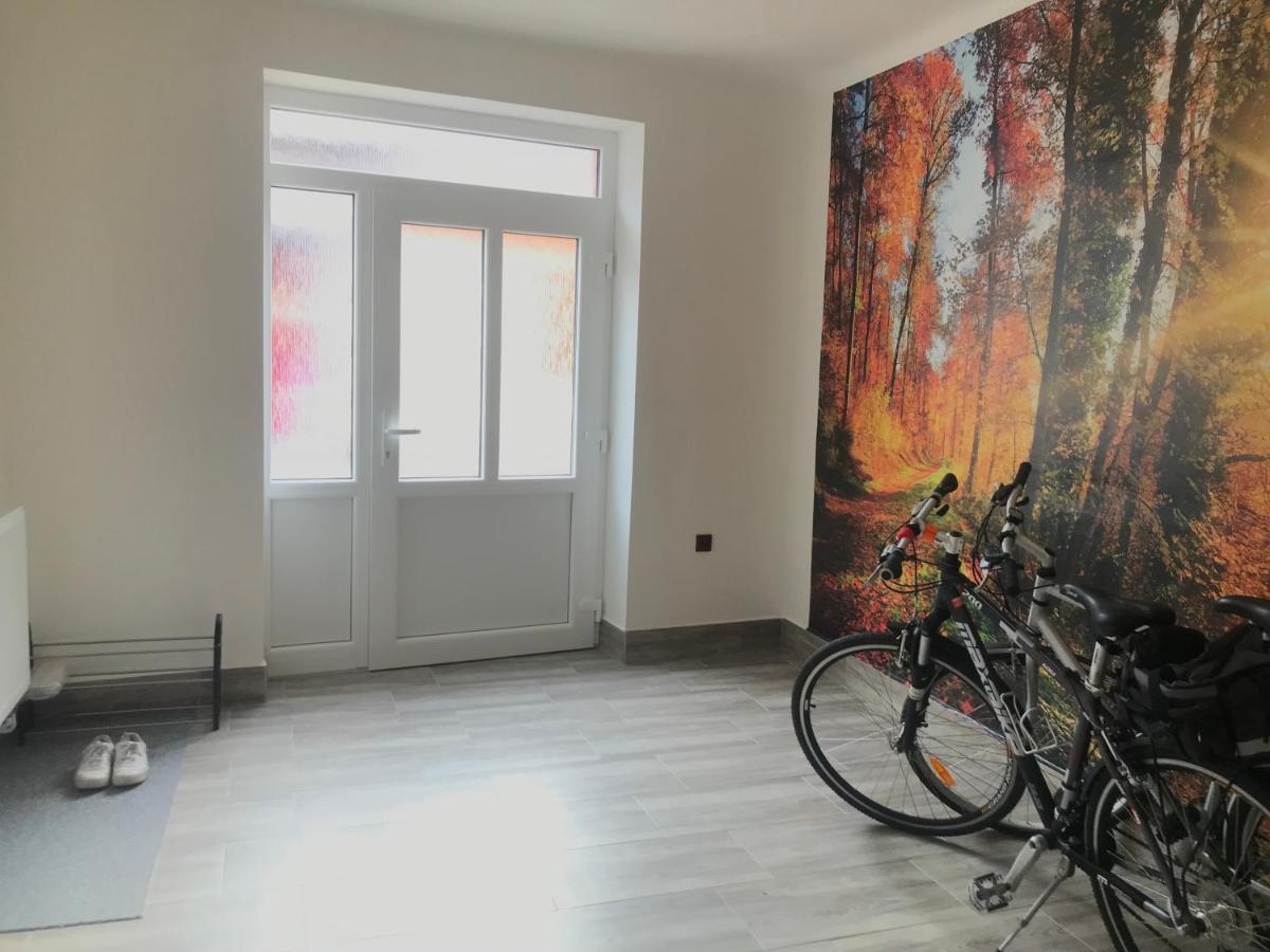 Cyklo-Moto Apartman Lomnice nad Luznici ภายนอก รูปภาพ